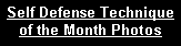 Text Box: Self Defense Technique of the Month Photos