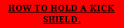 Text Box: HOW TO HOLD A KICK SHIELD.